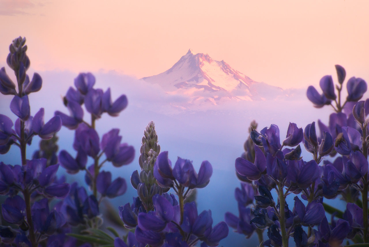 Copy of digital product